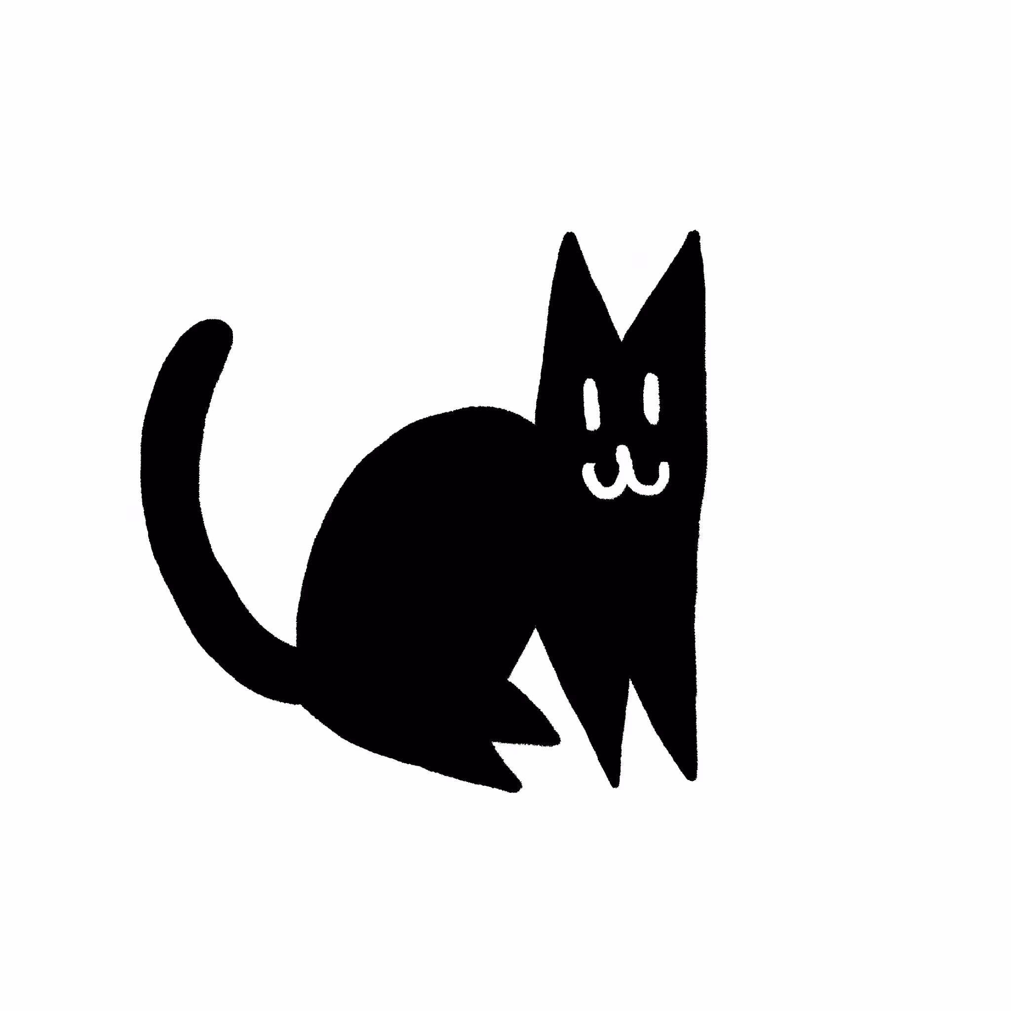 Black Cat