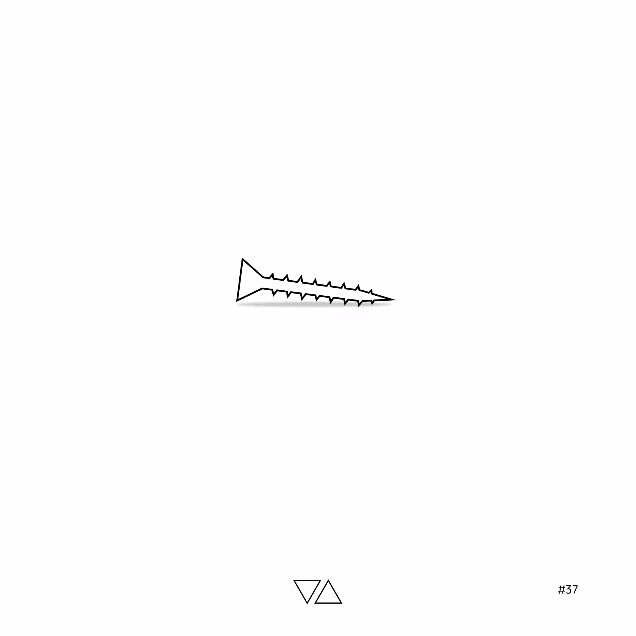 #37 - screw