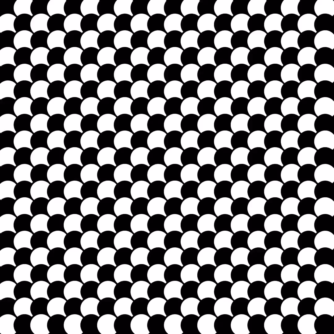 Circle Grid Animation 1