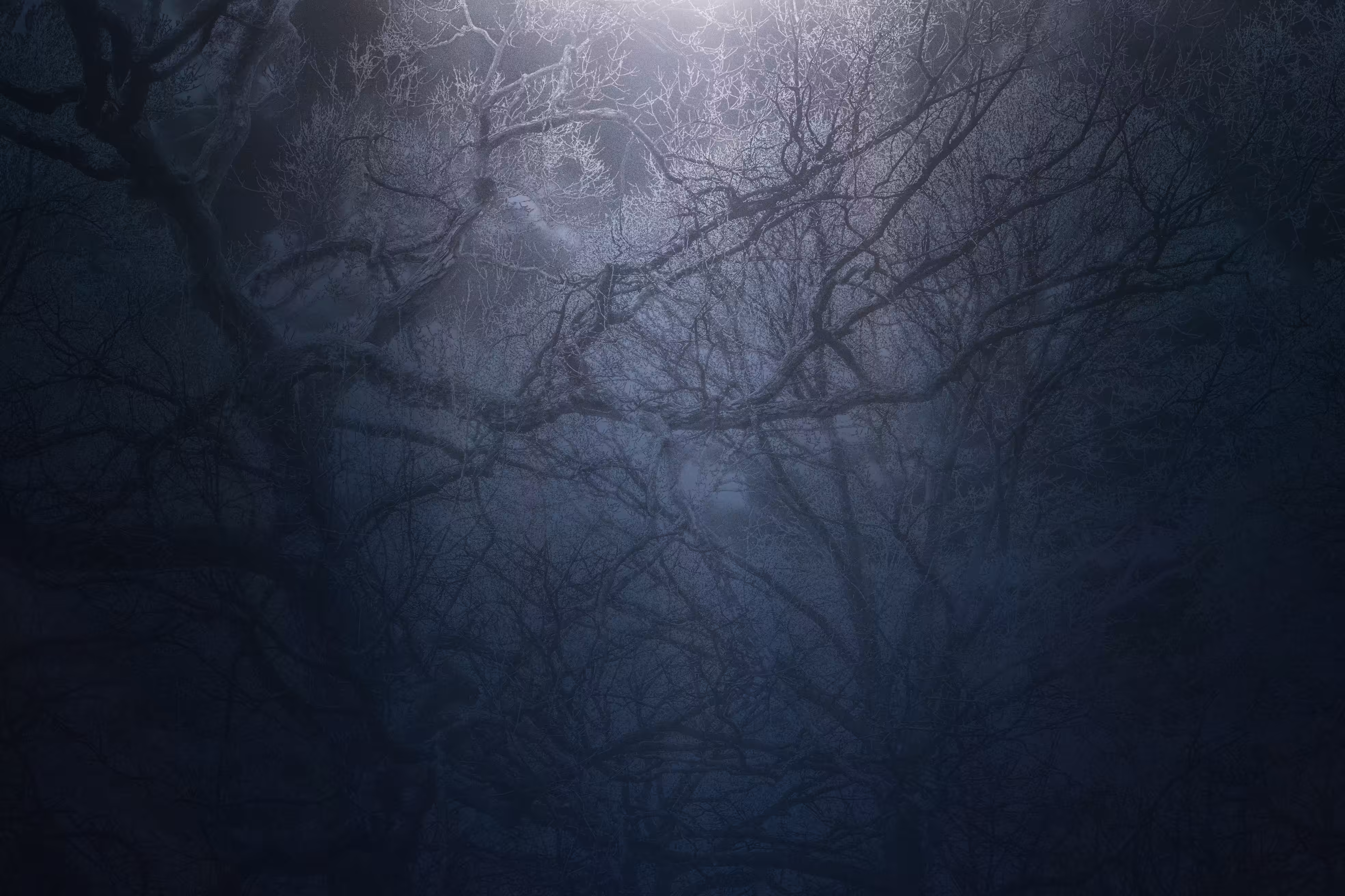 Our Limbs Wither Under The Dying Light