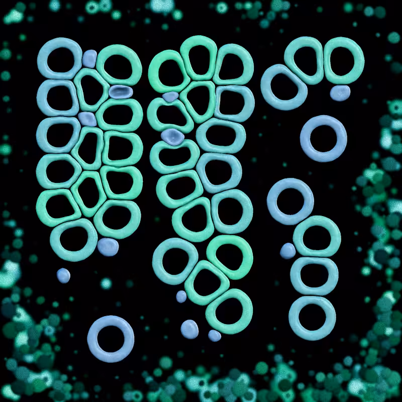 Haemo Globs #163