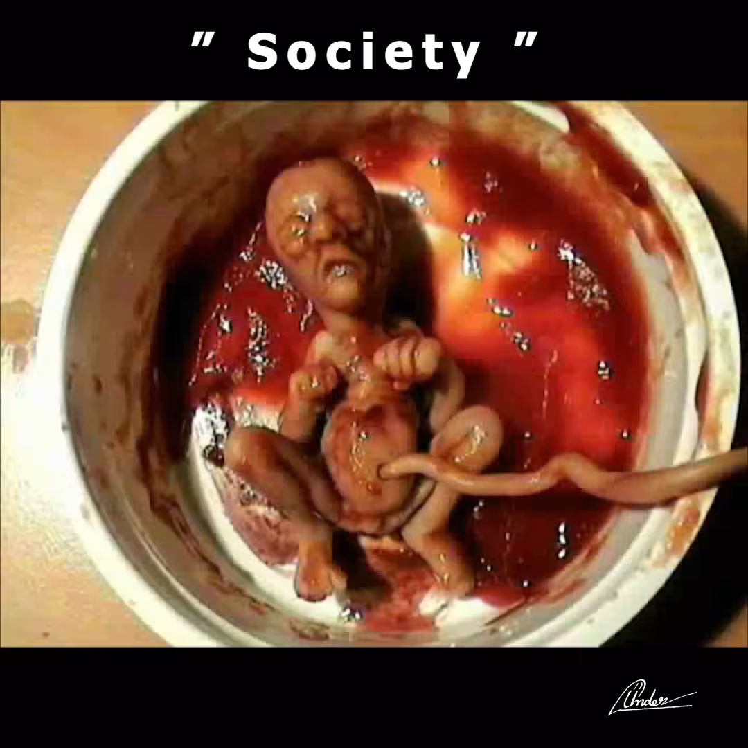society