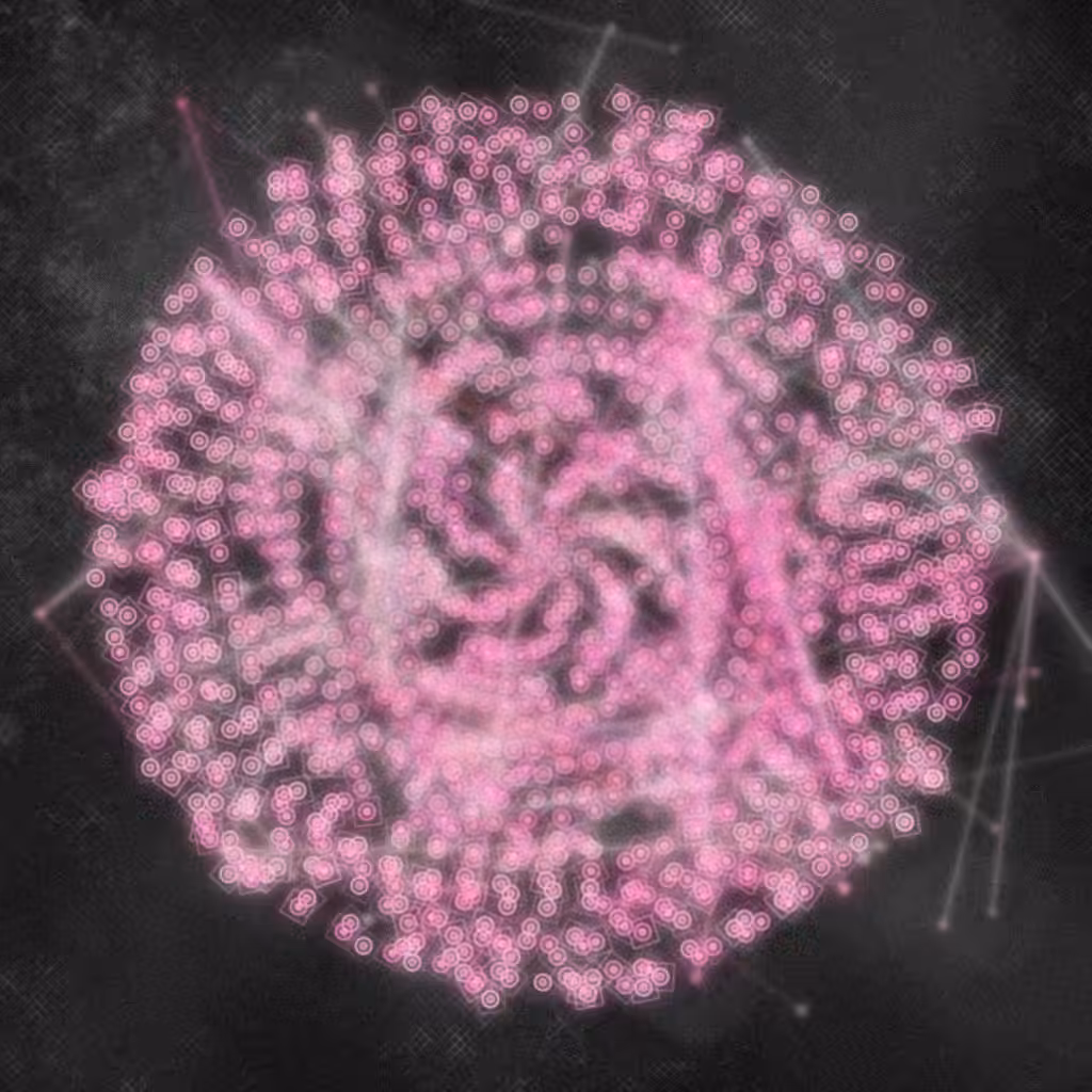 espiral #23