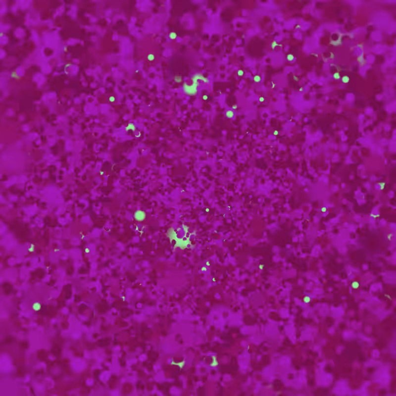 Coalesce #236