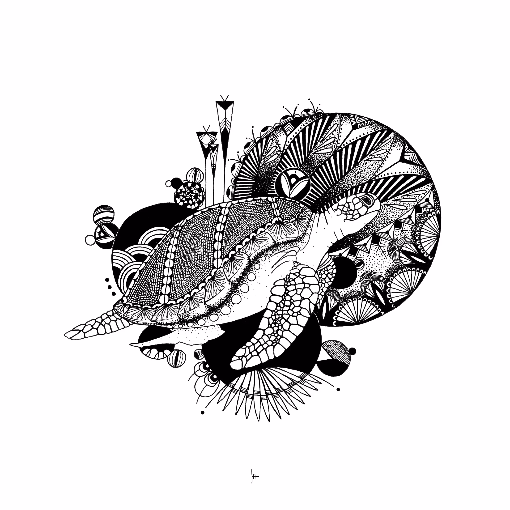 Sea Turtle