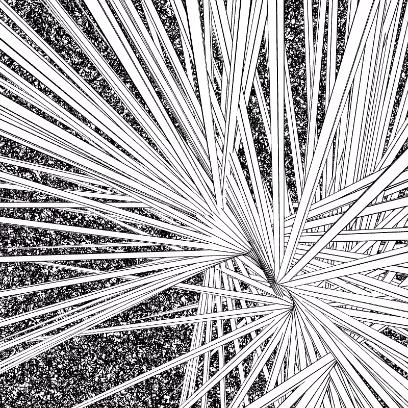 Monochrome Explotion #2