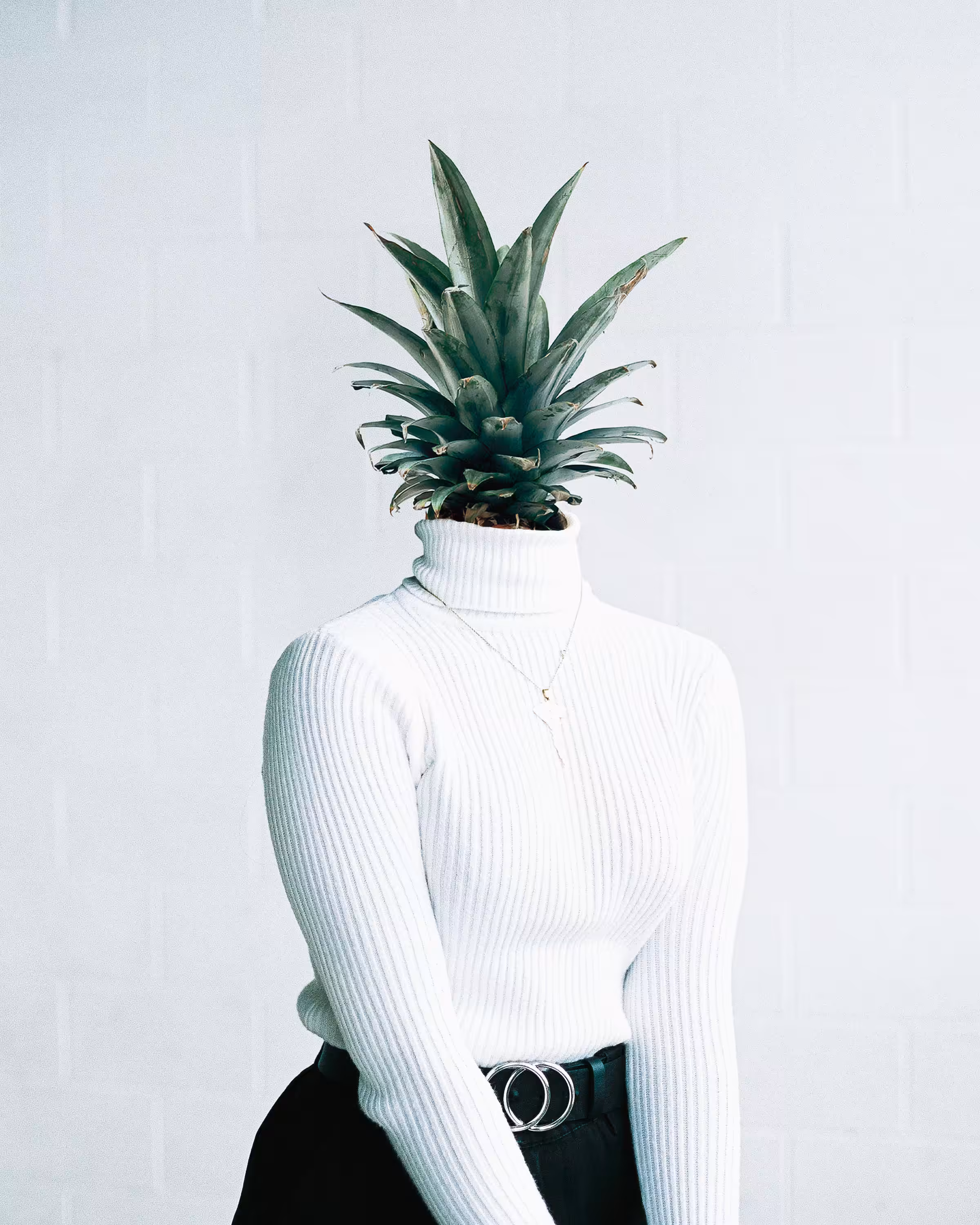 Tropical Thoughts