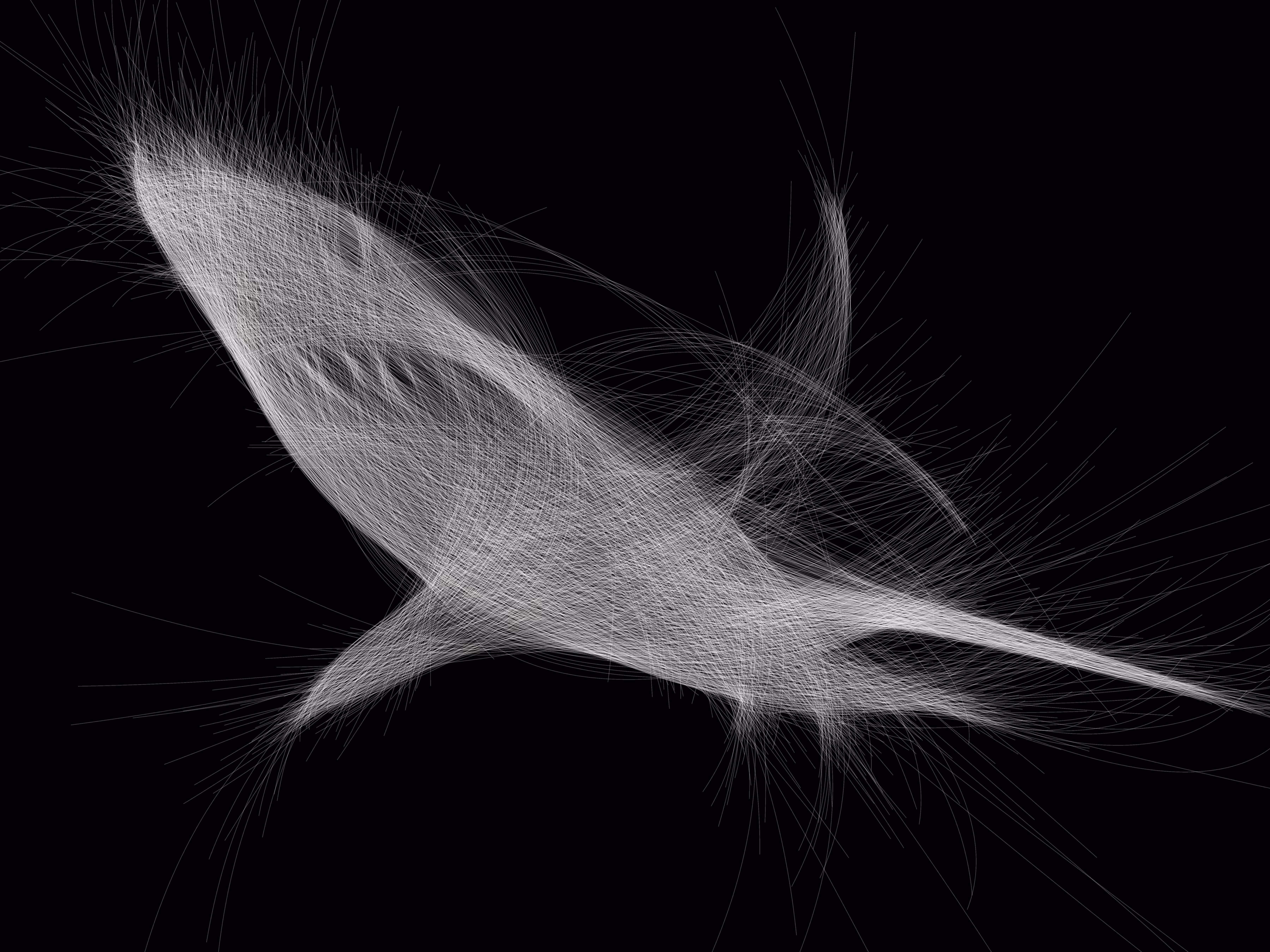 UNDERWATER: Underwater 261