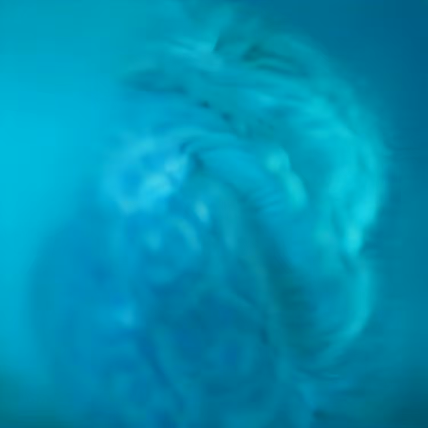 Deep Water Beginnings