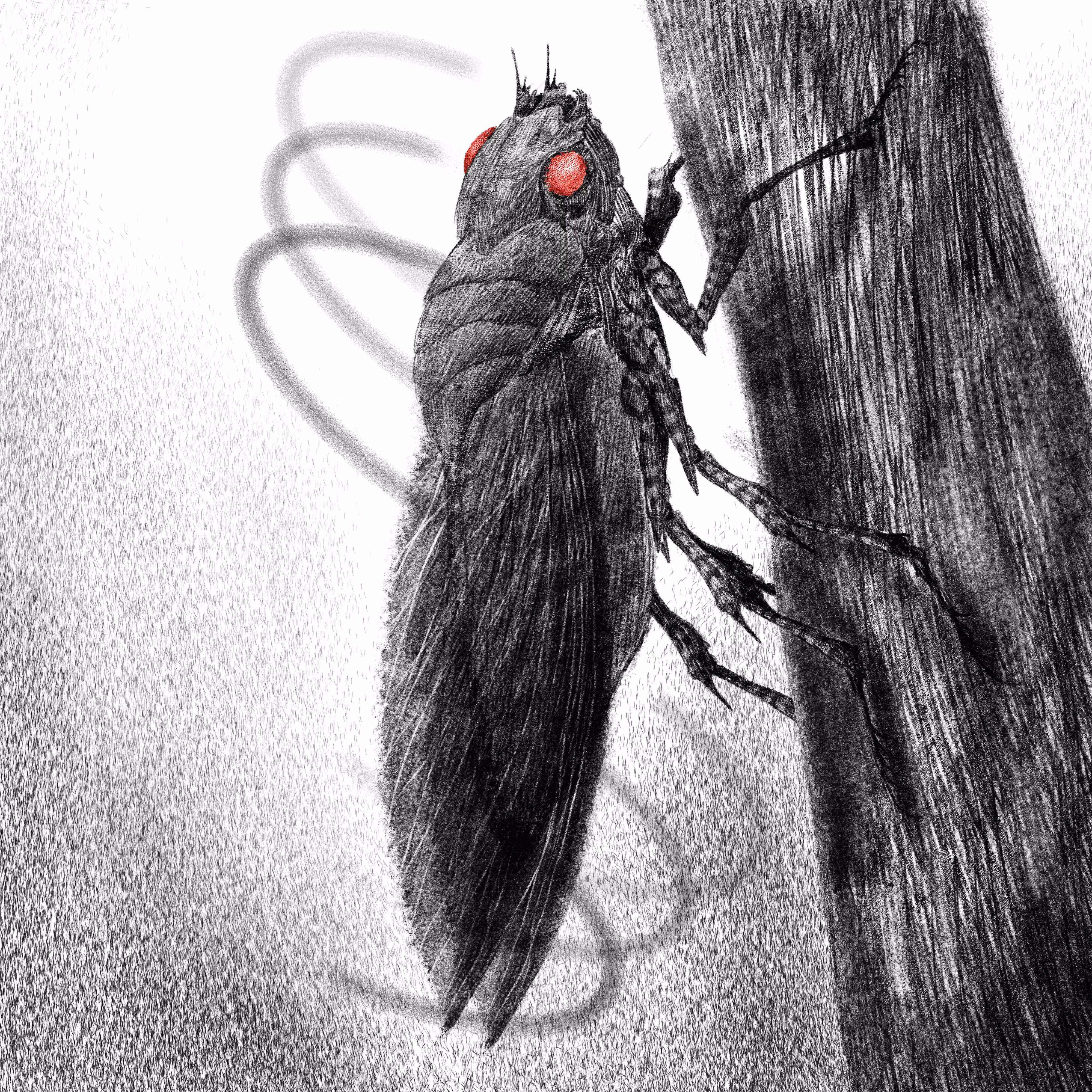 CICADA