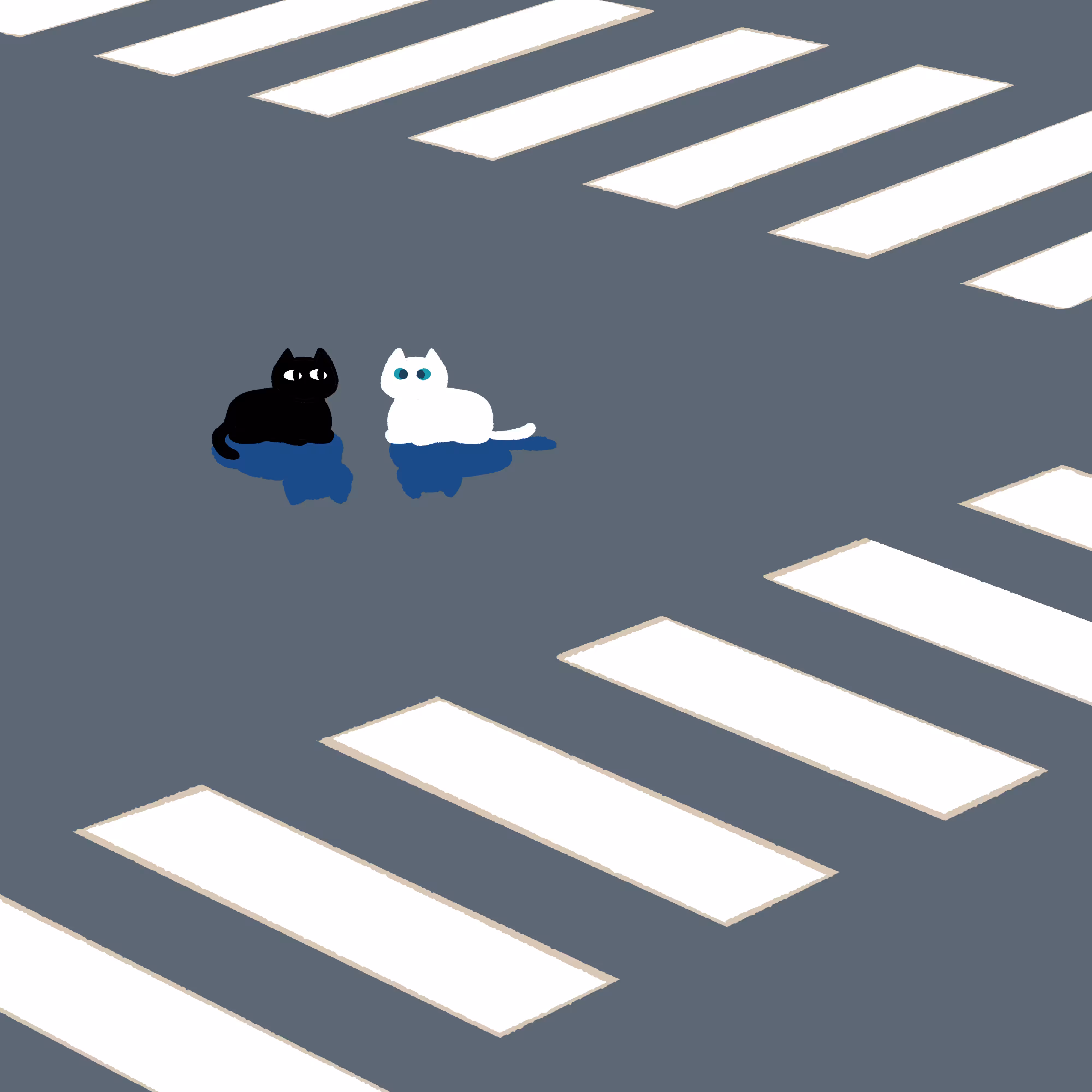 CAT #13 Crossroad Cat