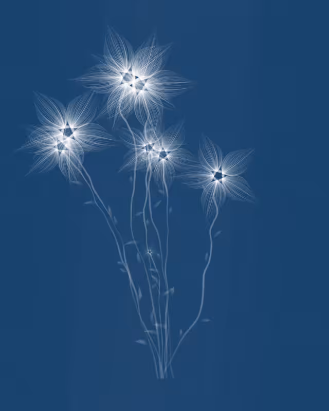 Cyanotypes #85