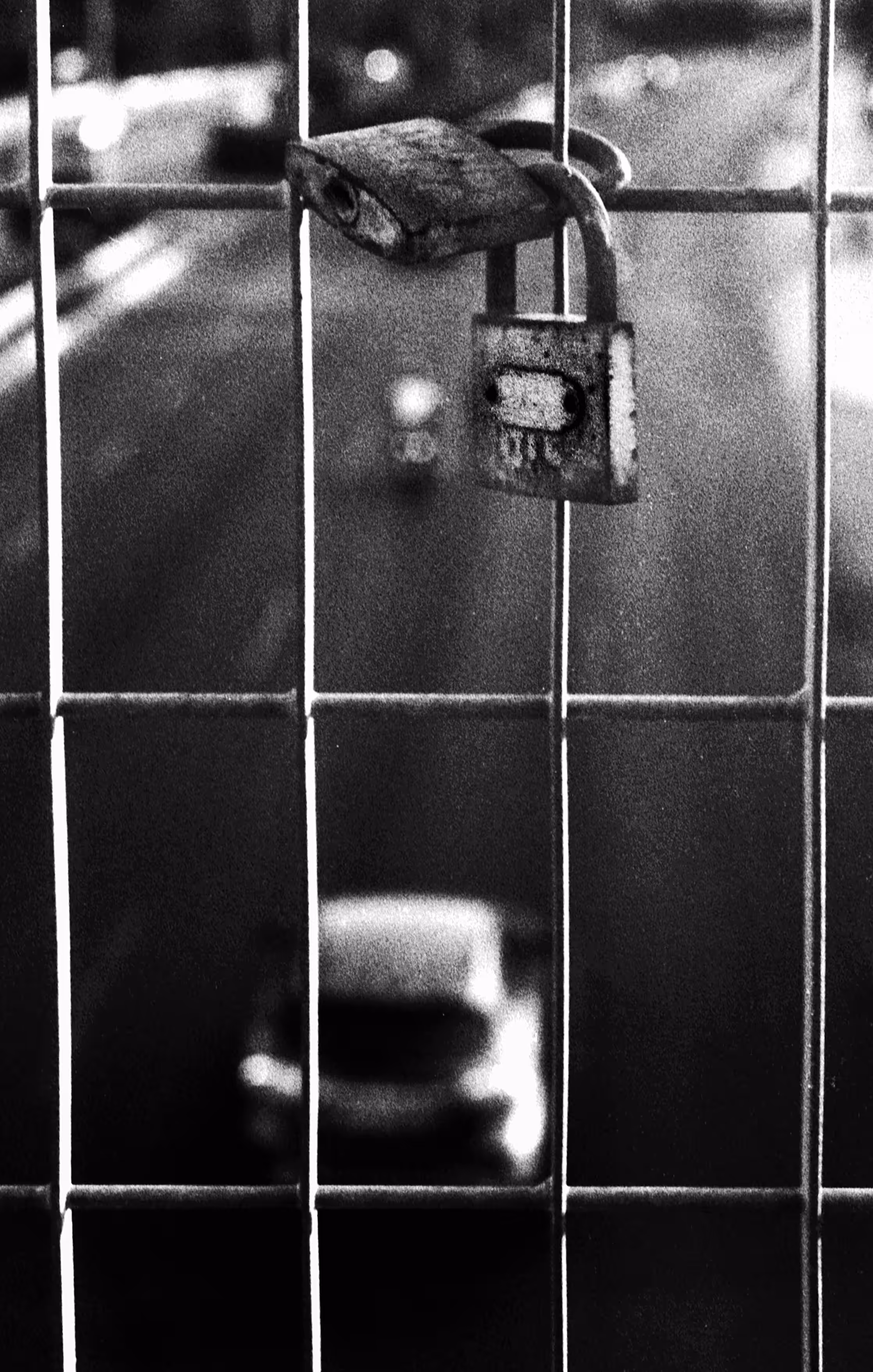 Bridge lovers / 35mm film Minolta