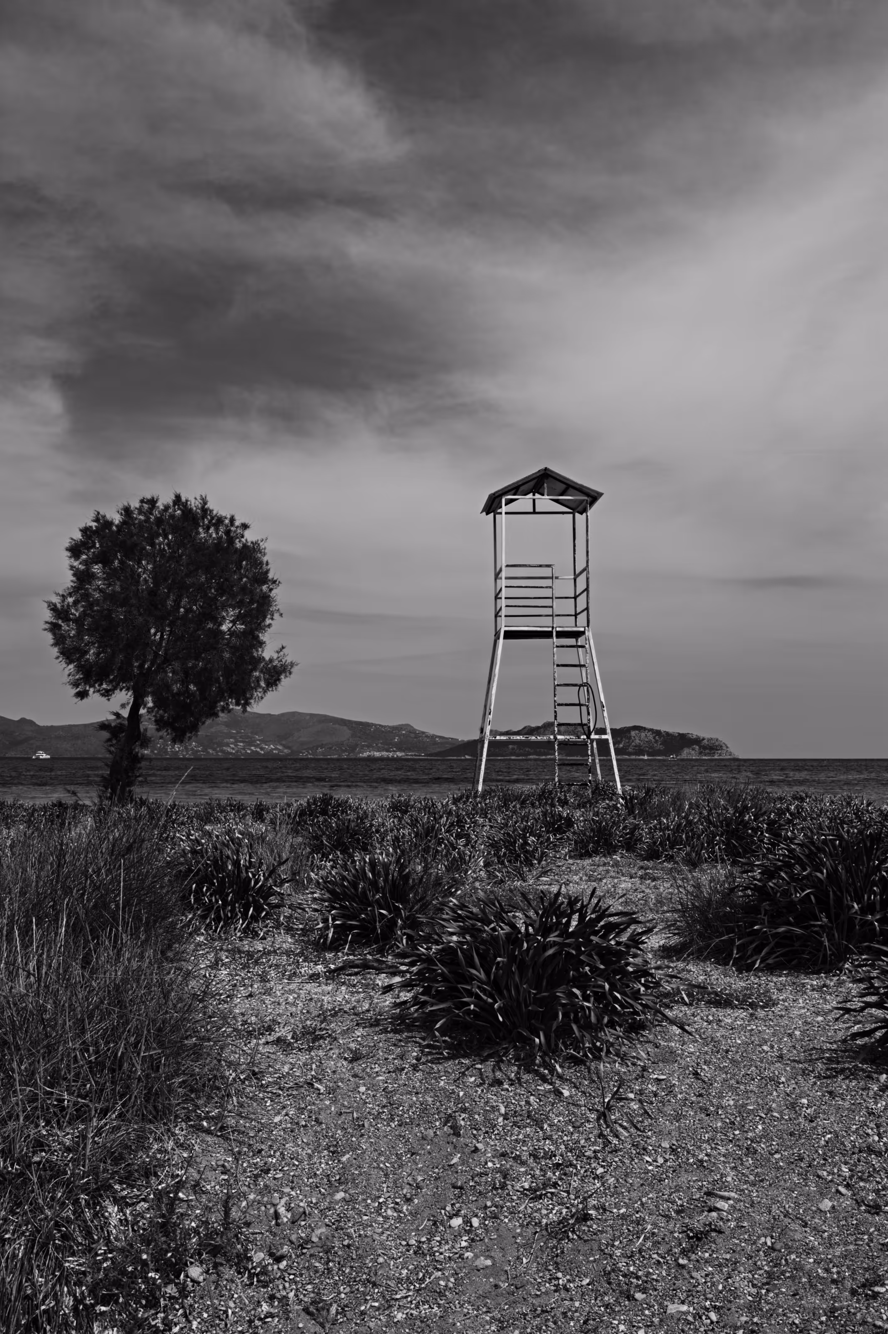 The Lost Lifeguard