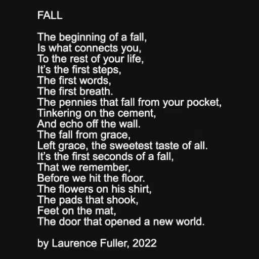 FALL

The beginning ...
