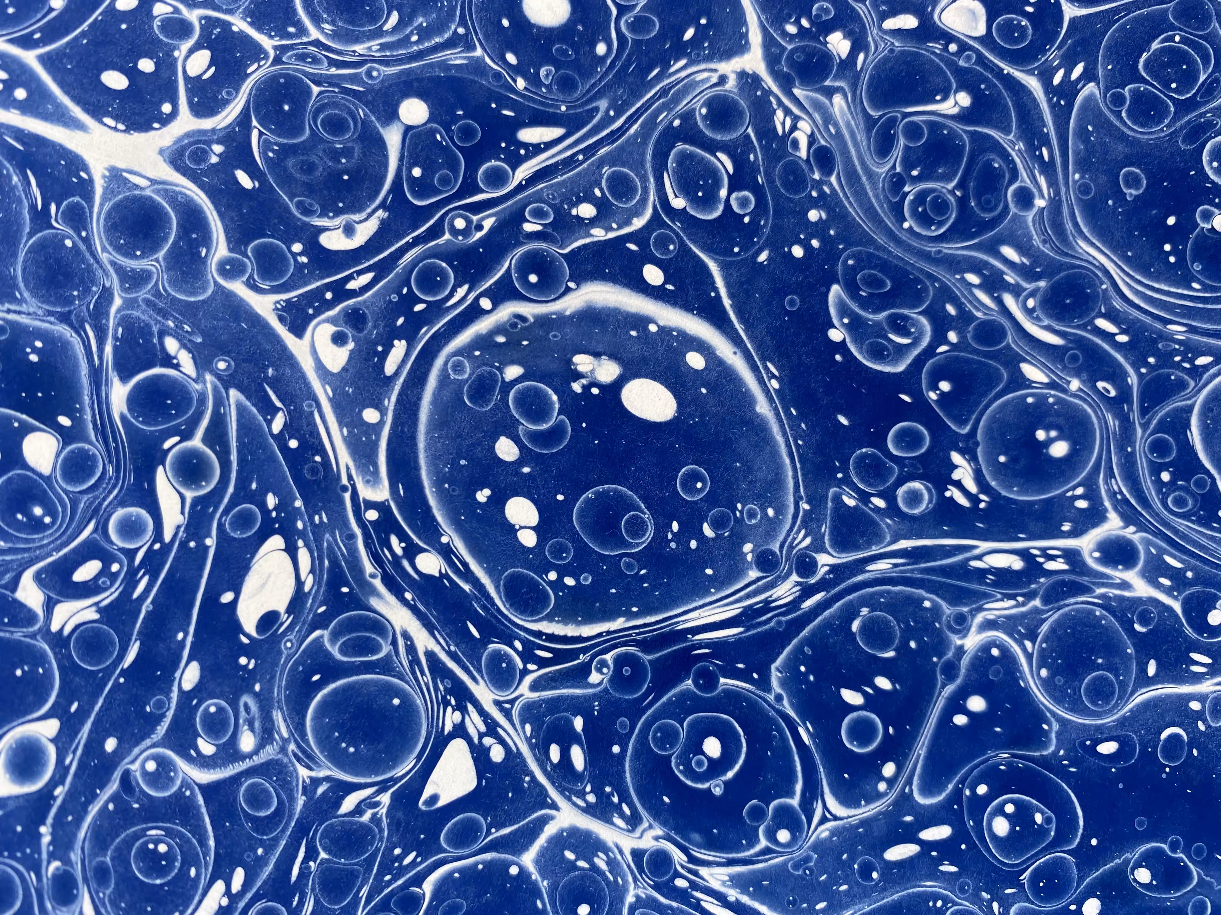 Battal Ebru / Marbling Art DE #7