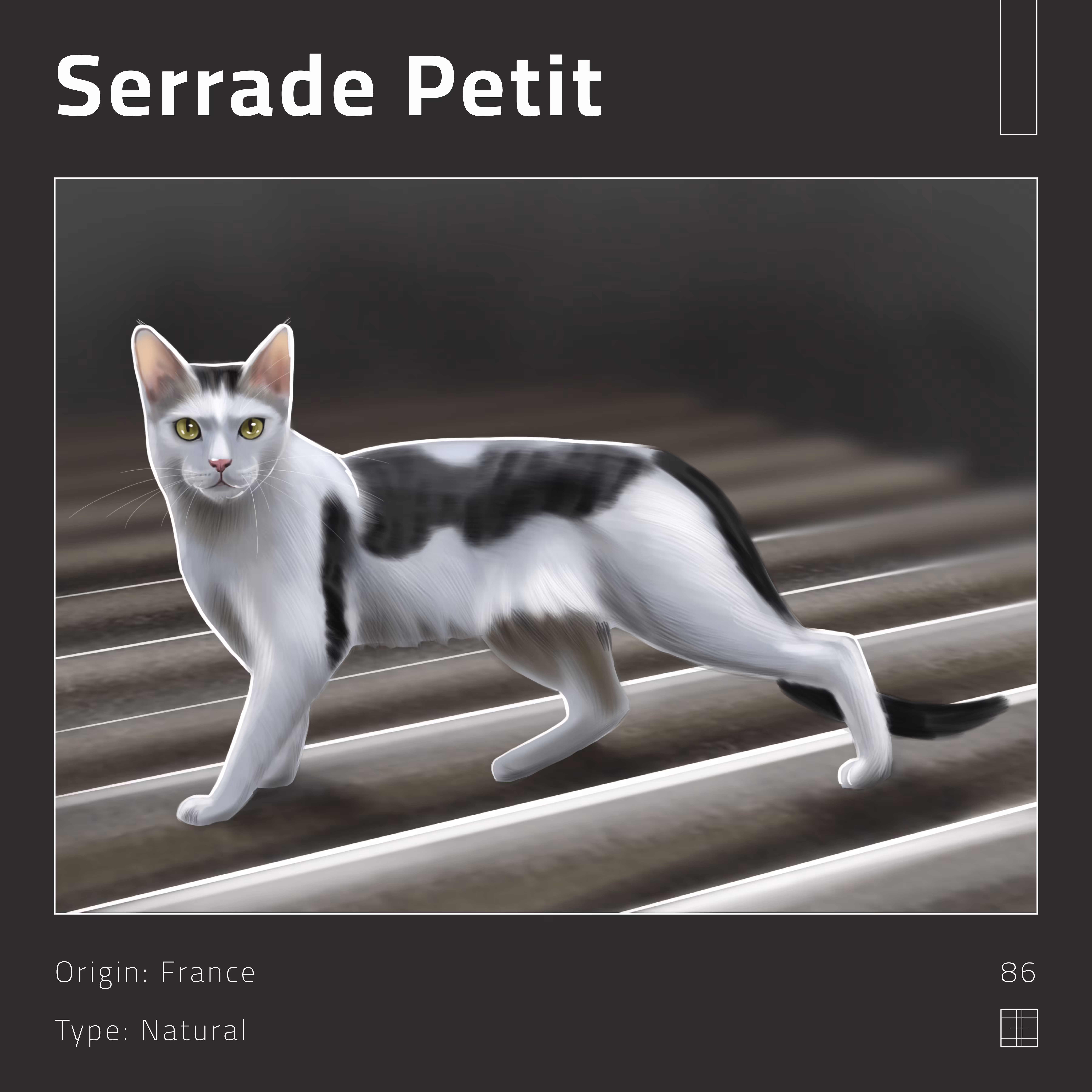 86 – Serrade Petit