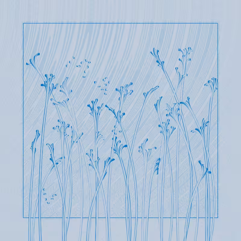 string_pllu #102