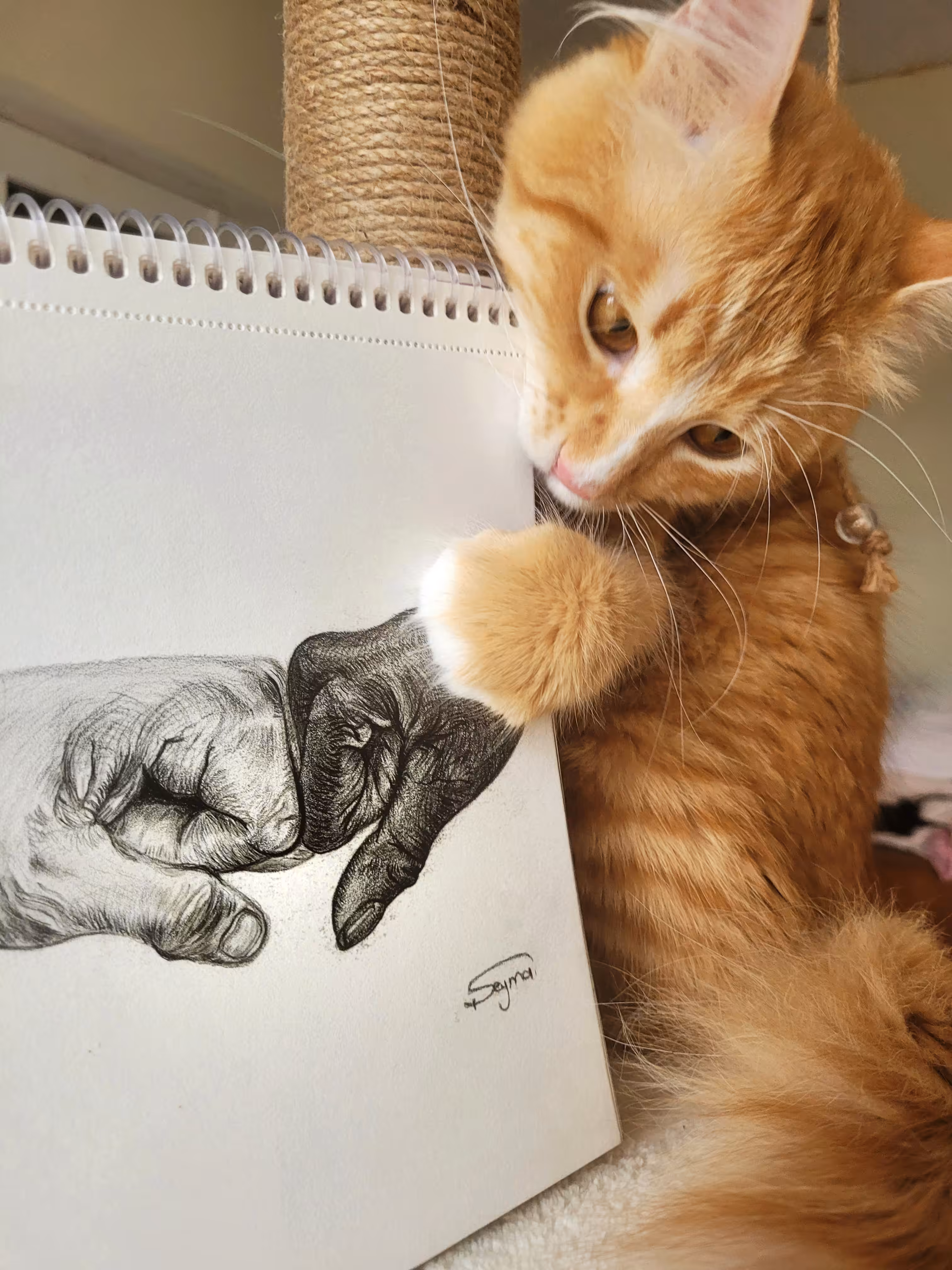 Charcoal with Cinnamon