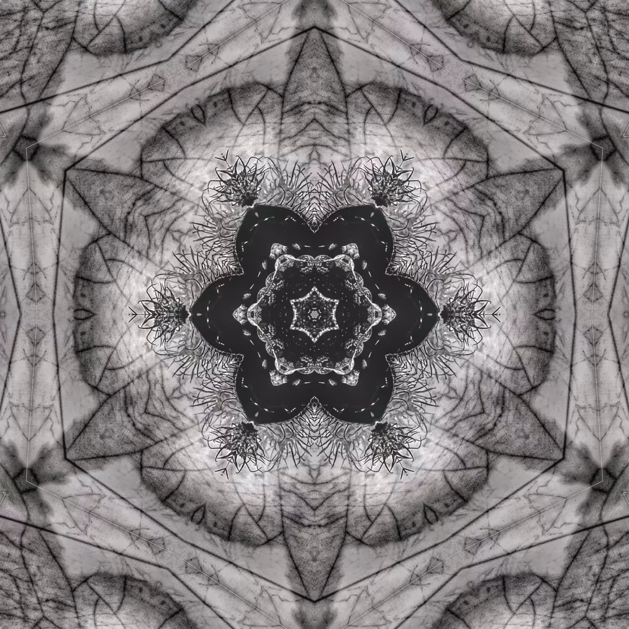 ATTA [Urucum Altered Patterns #2]