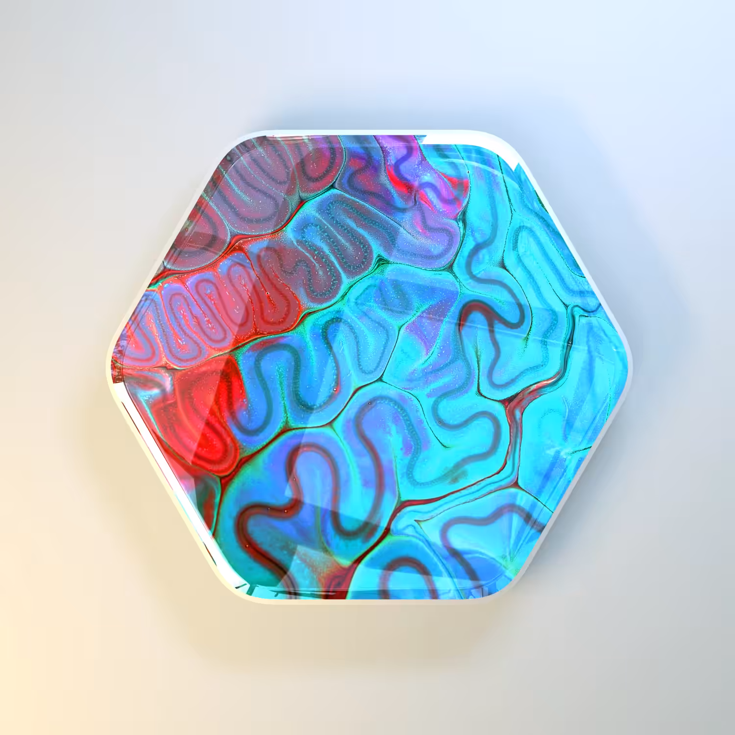 𝐎𝐜𝐭𝐚𝐠𝐨𝐧𝐚𝐥 𝐩𝐥𝐚𝐧𝐞𝐭 🪐 X