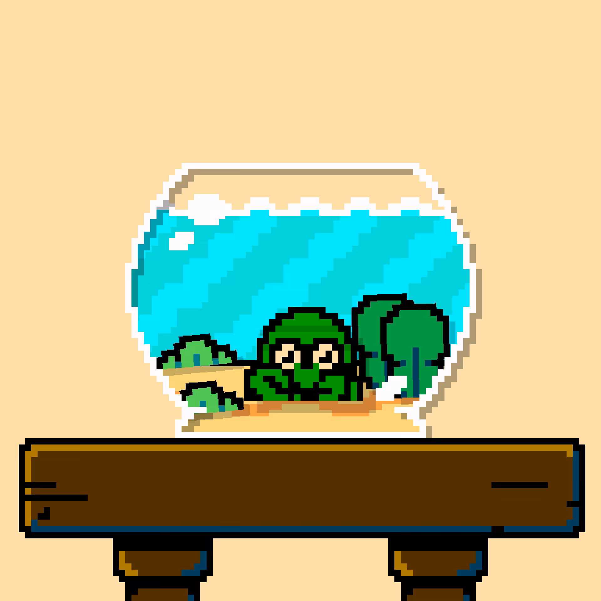 hermit crab #101
