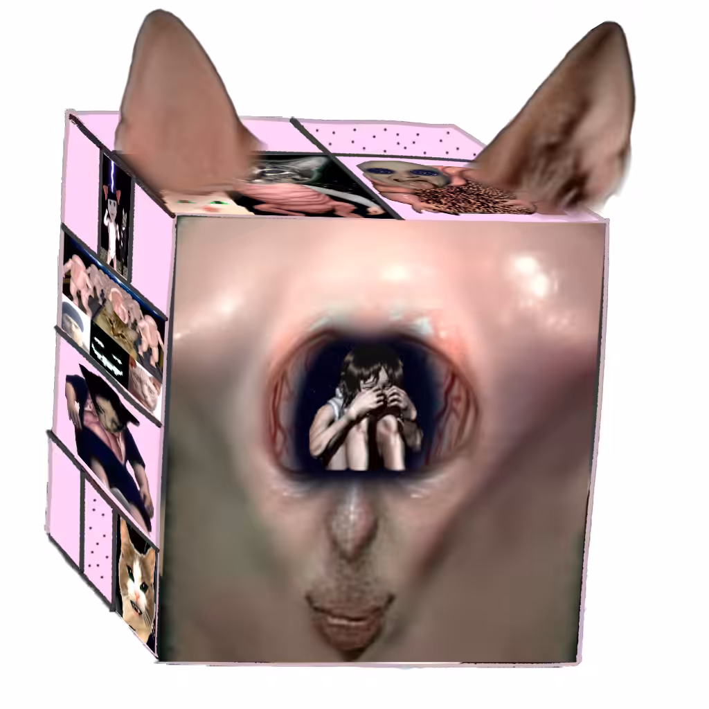 🤝smoool🌀