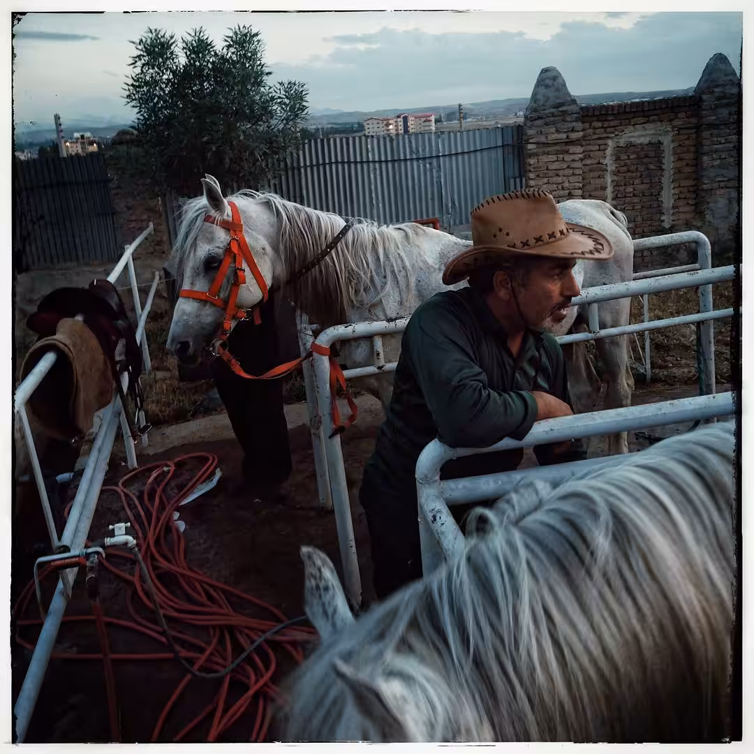 The Glory Of Man And Horse