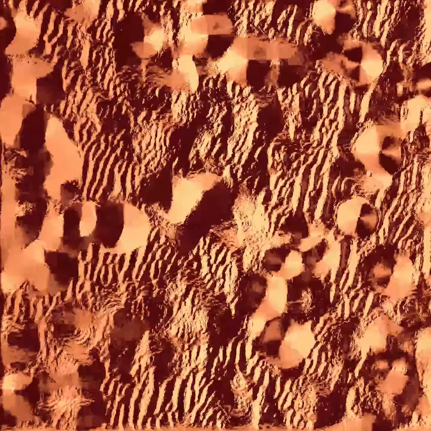 Dune Migration