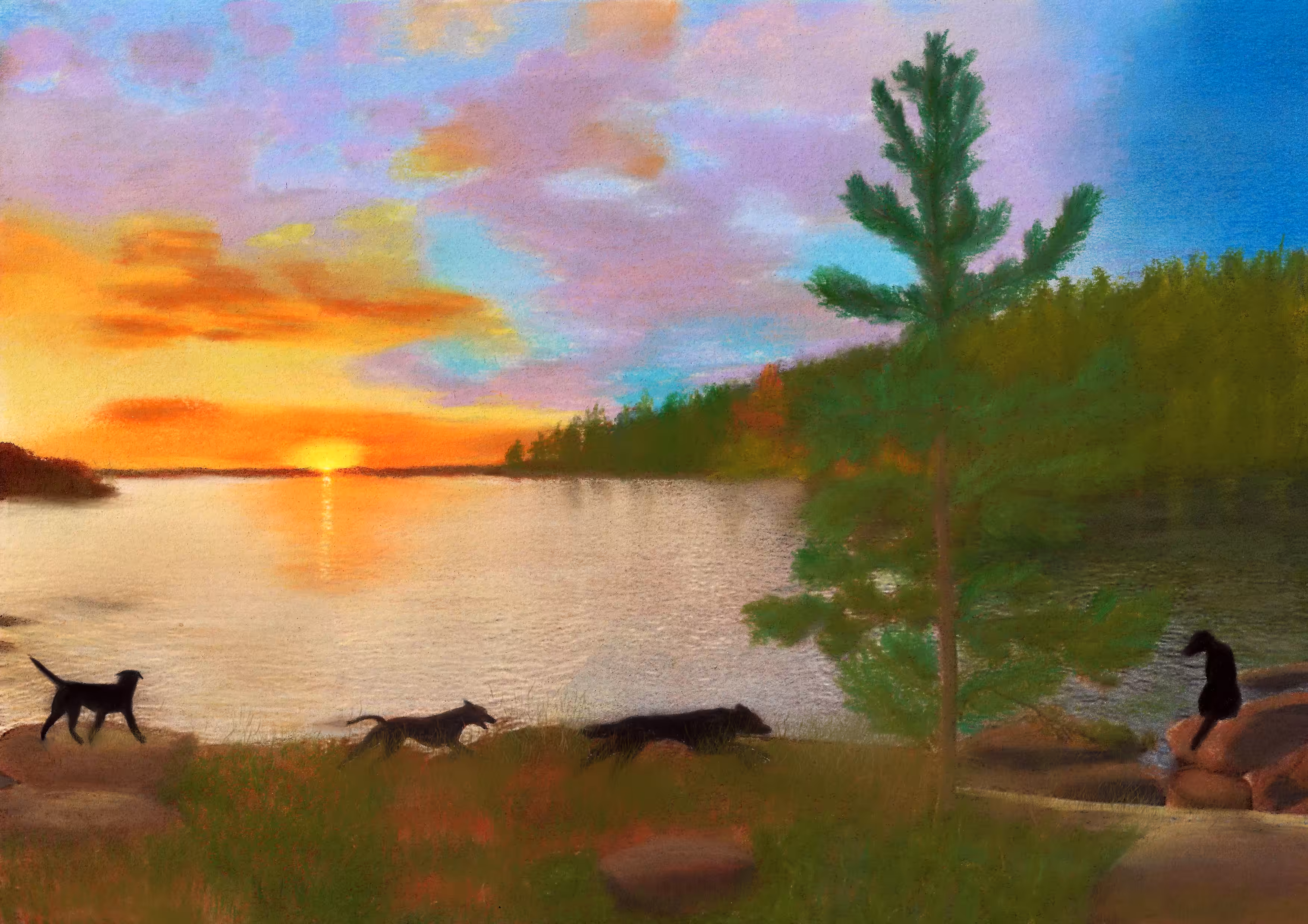 a walk on the shore