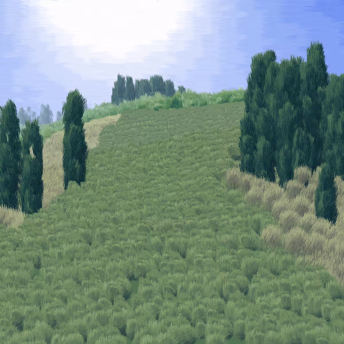 Provence #311
