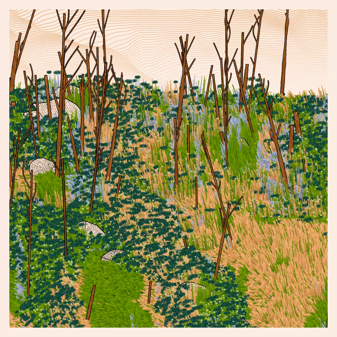 Bagh #80
