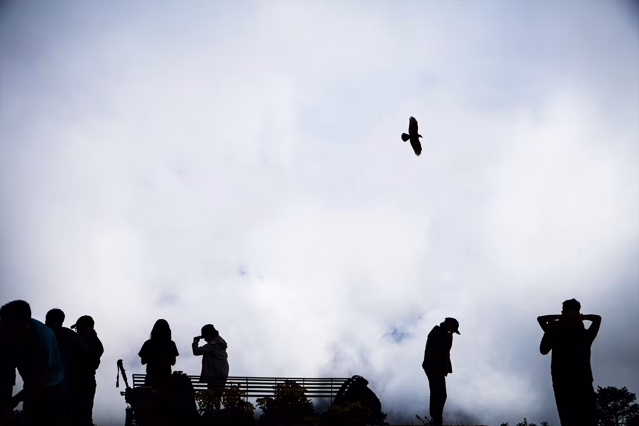 Head in the Clouds