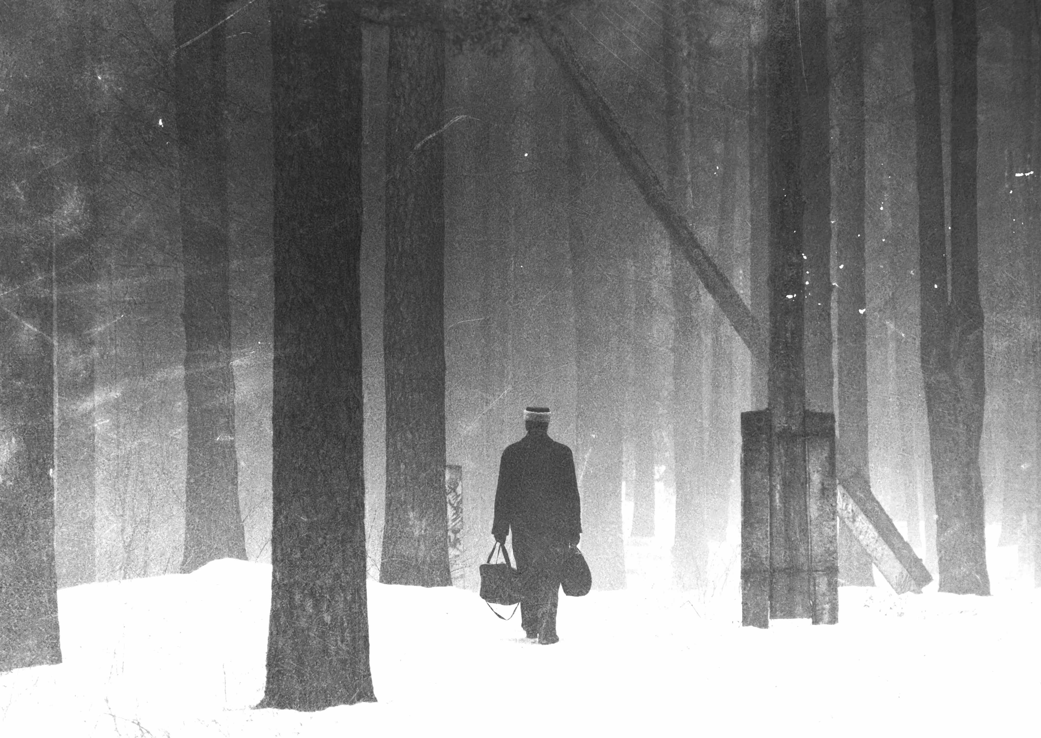 Snow will light your way