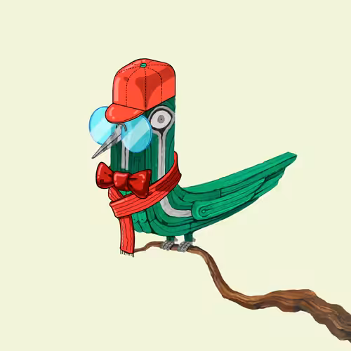 Bolbol, The Bird 027