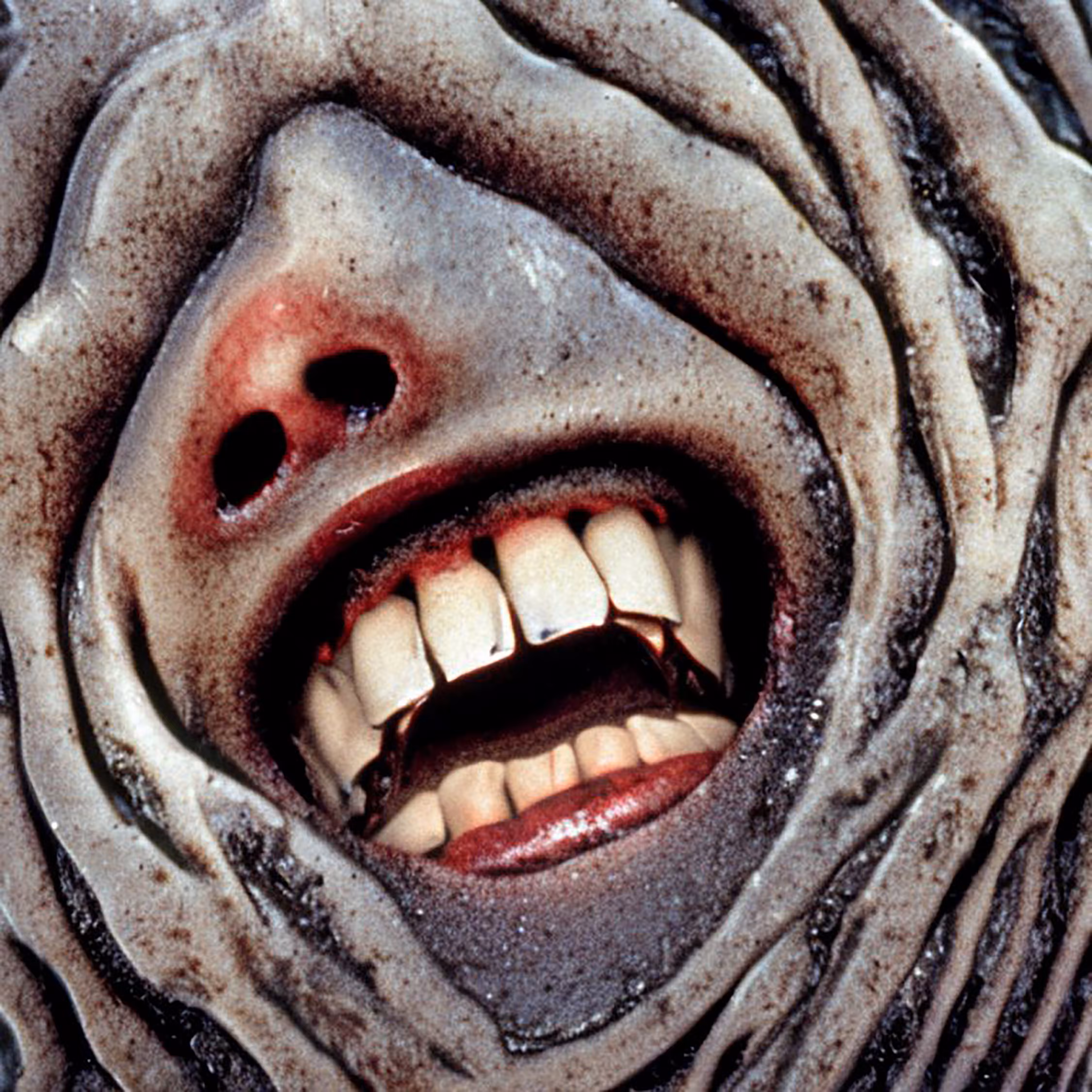 Doldrums: Gnaw 7