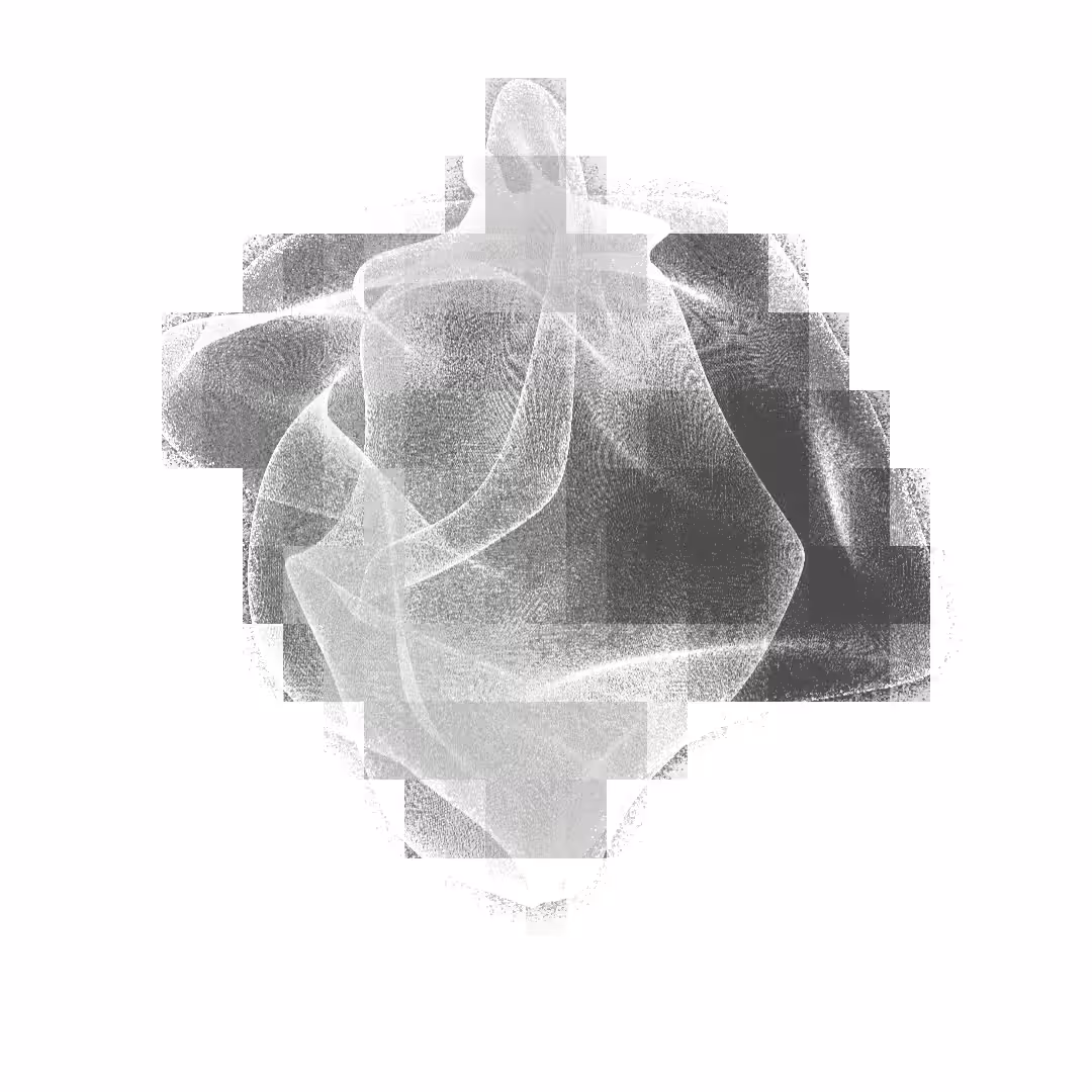 Fine Mesh of a Distorted Soul - 100 days after.