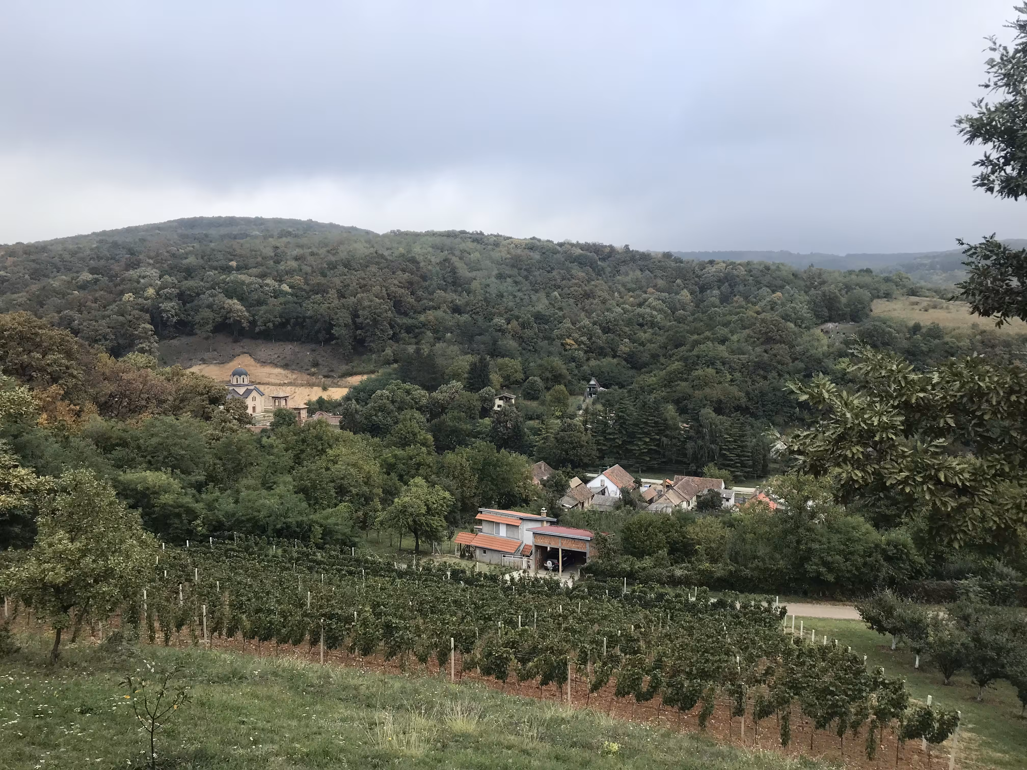 Village Forest ReFi & Healing Retreat Properties.