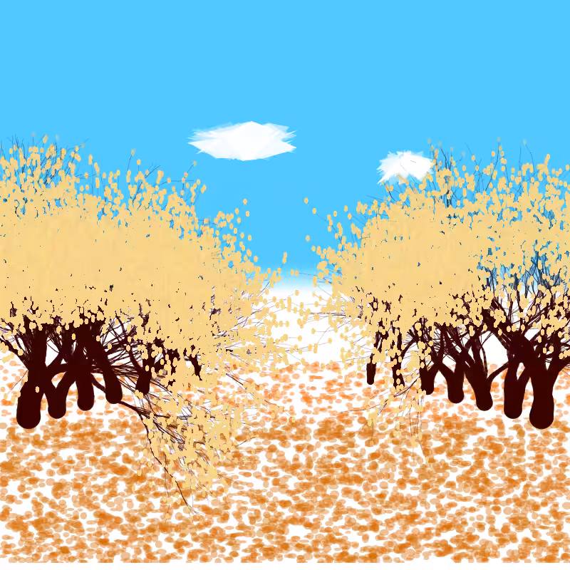 wind forest #3