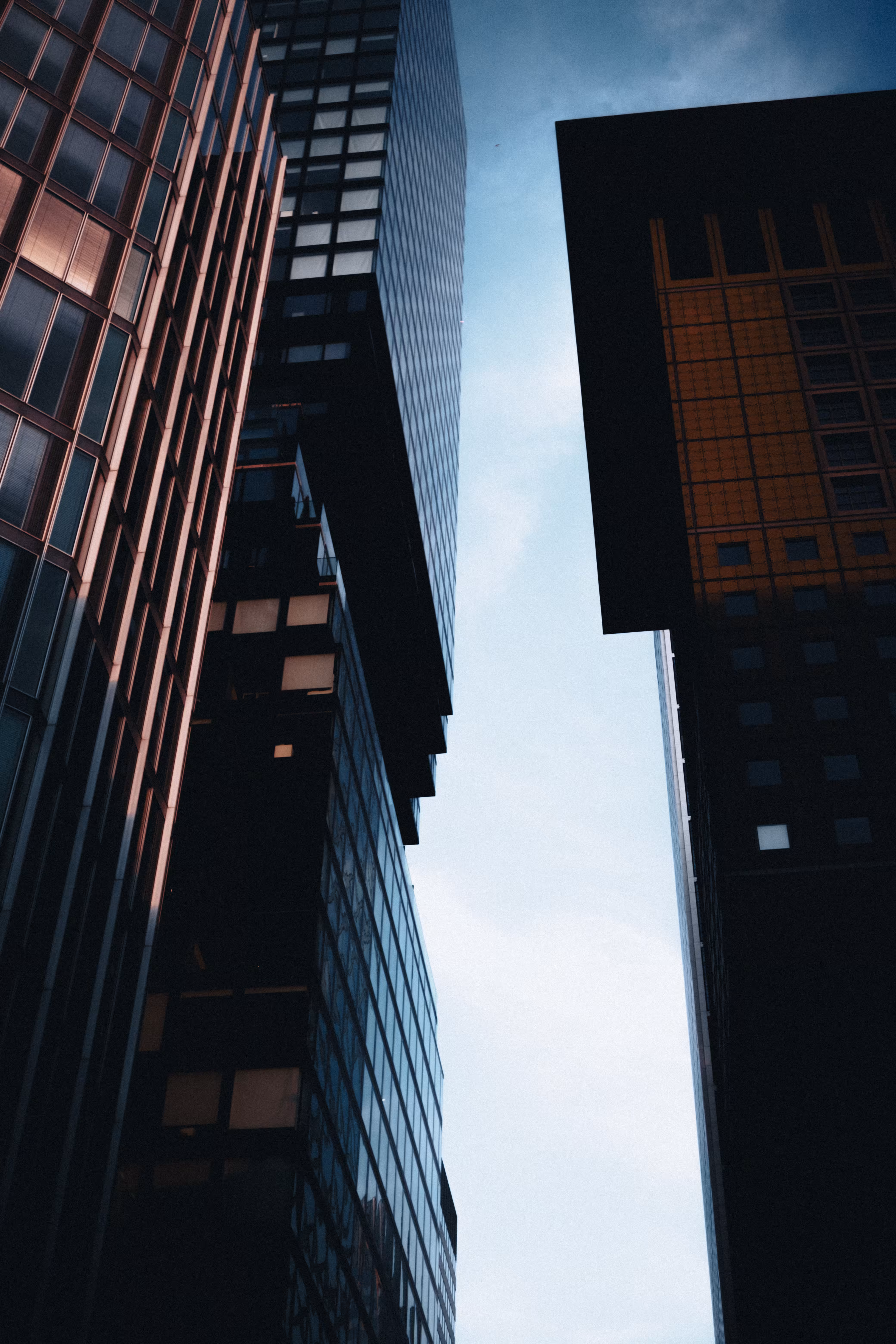 Euclidean Skyline