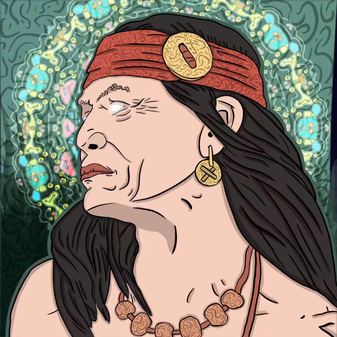 Apache Vision