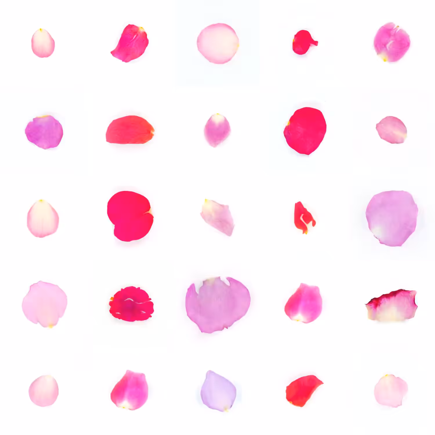 Infinite Petals 5x5#20759