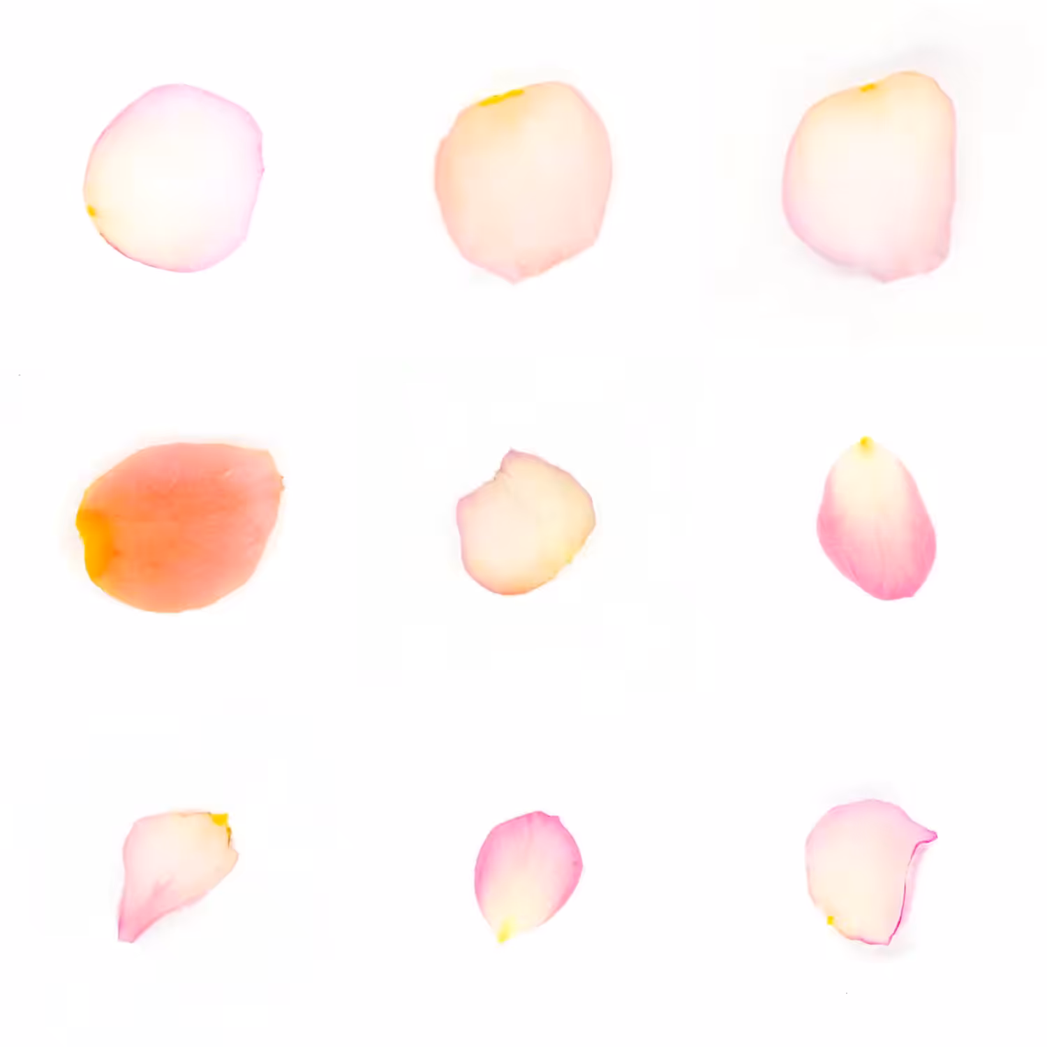 Infinite Petals 3x3#3998
