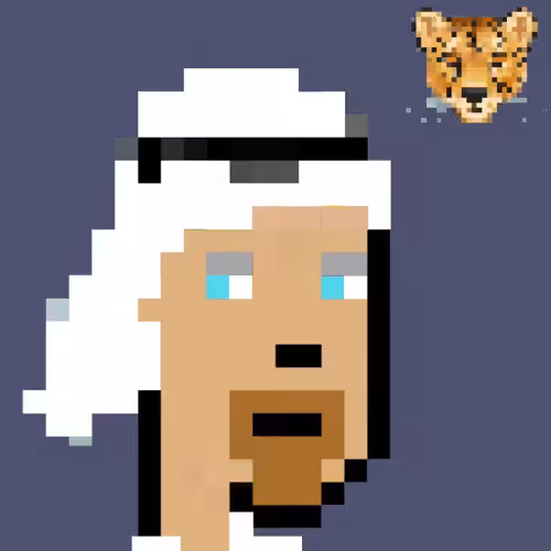 CryptoSheikh #33