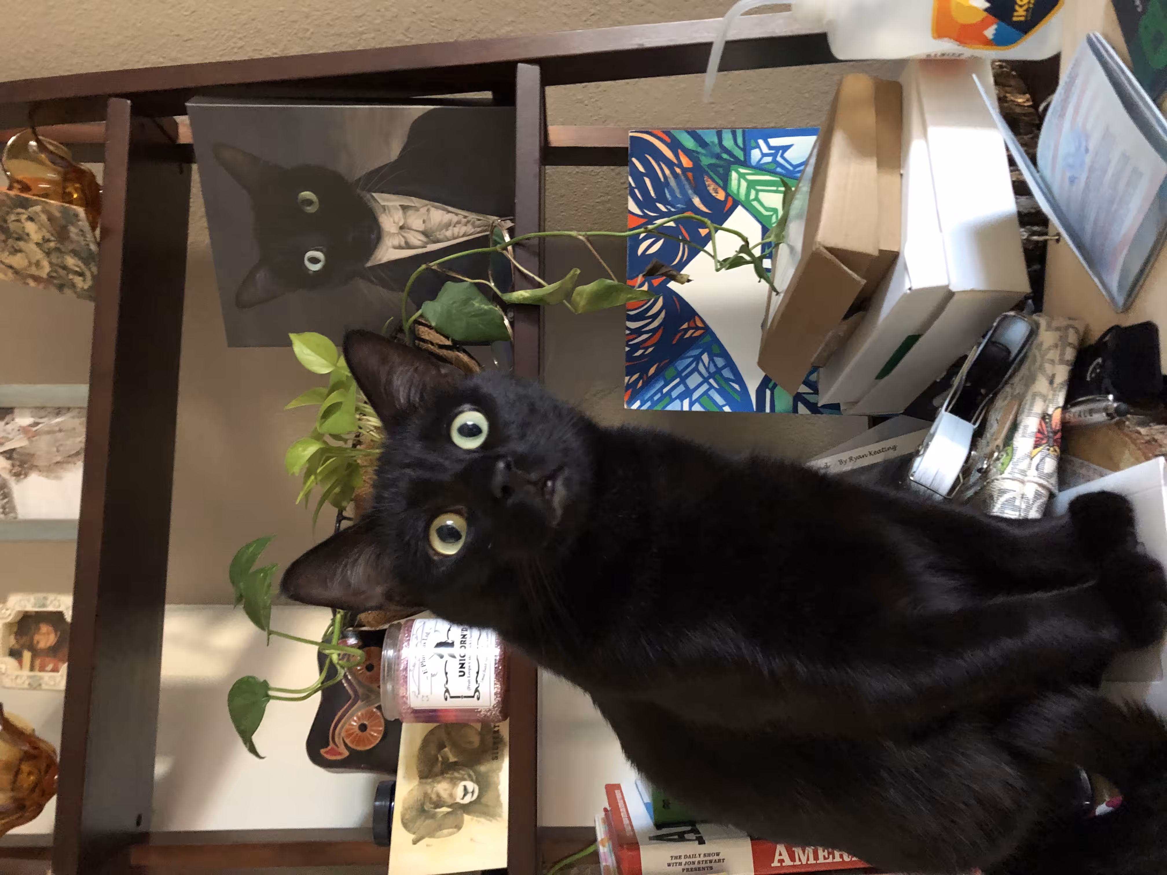 Sir Luca