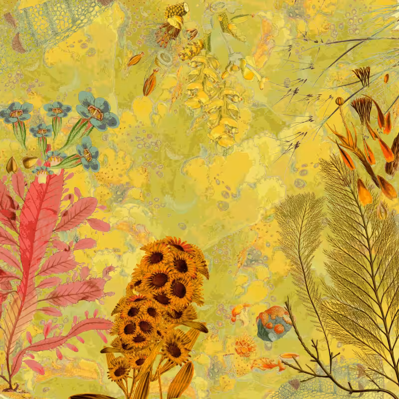 future flora from Antarctica's past #27