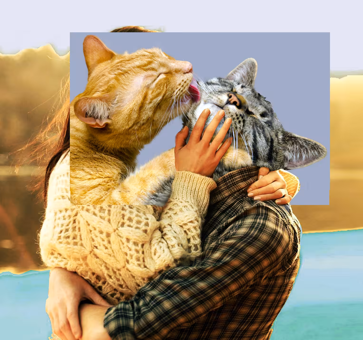 Purrromance