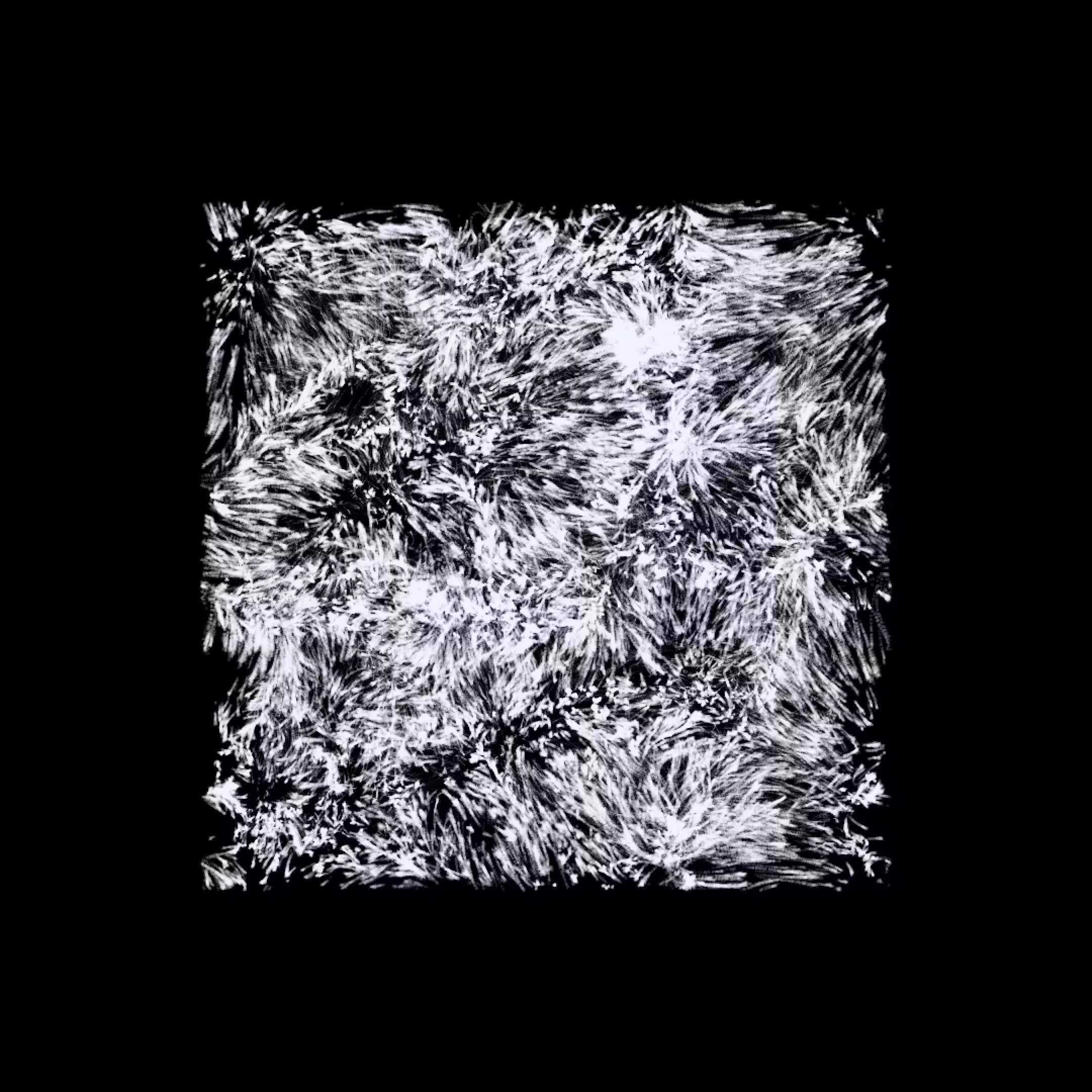 Dökk [Gadget-2 | Cluster simulation #1]
