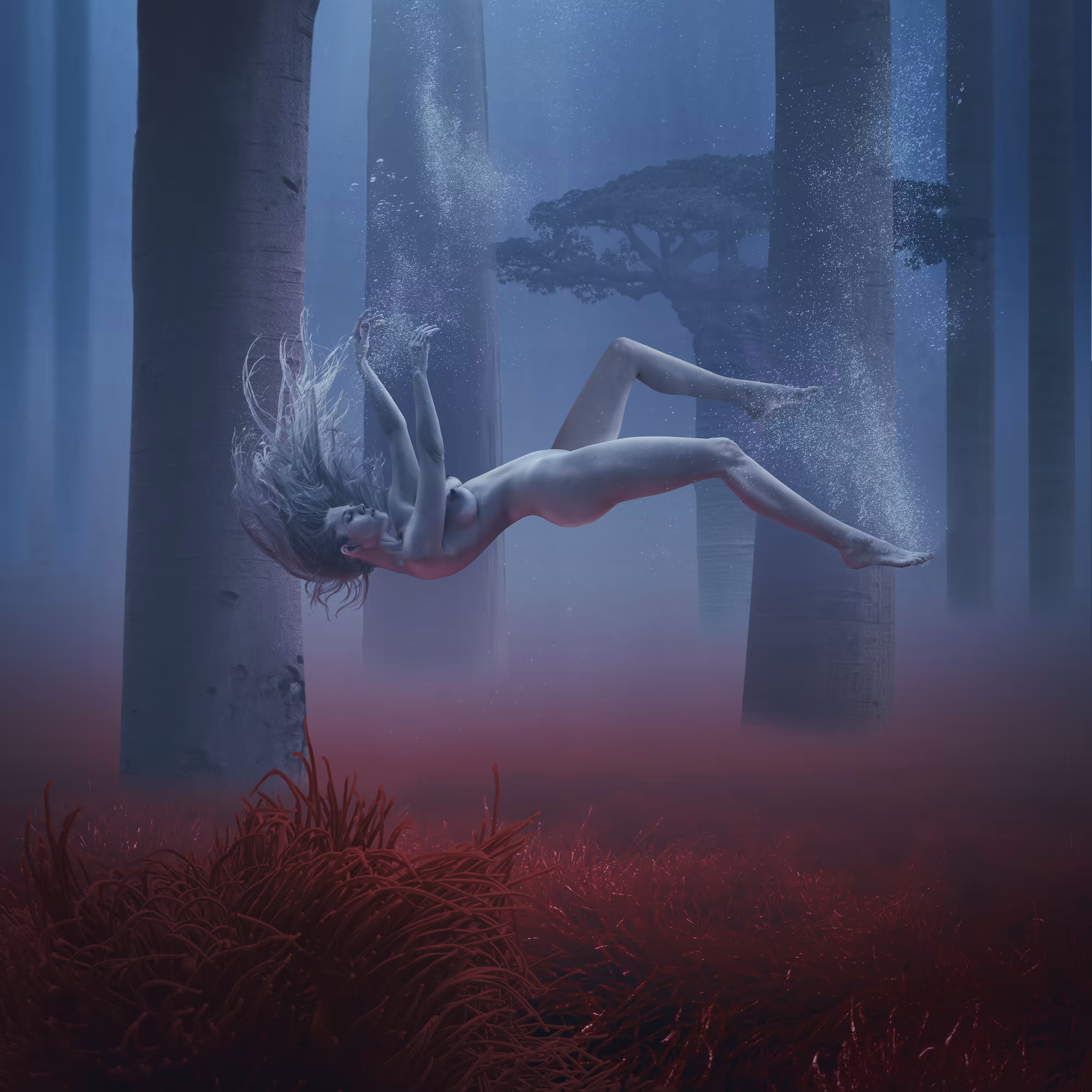 Red Grass in My Dreams