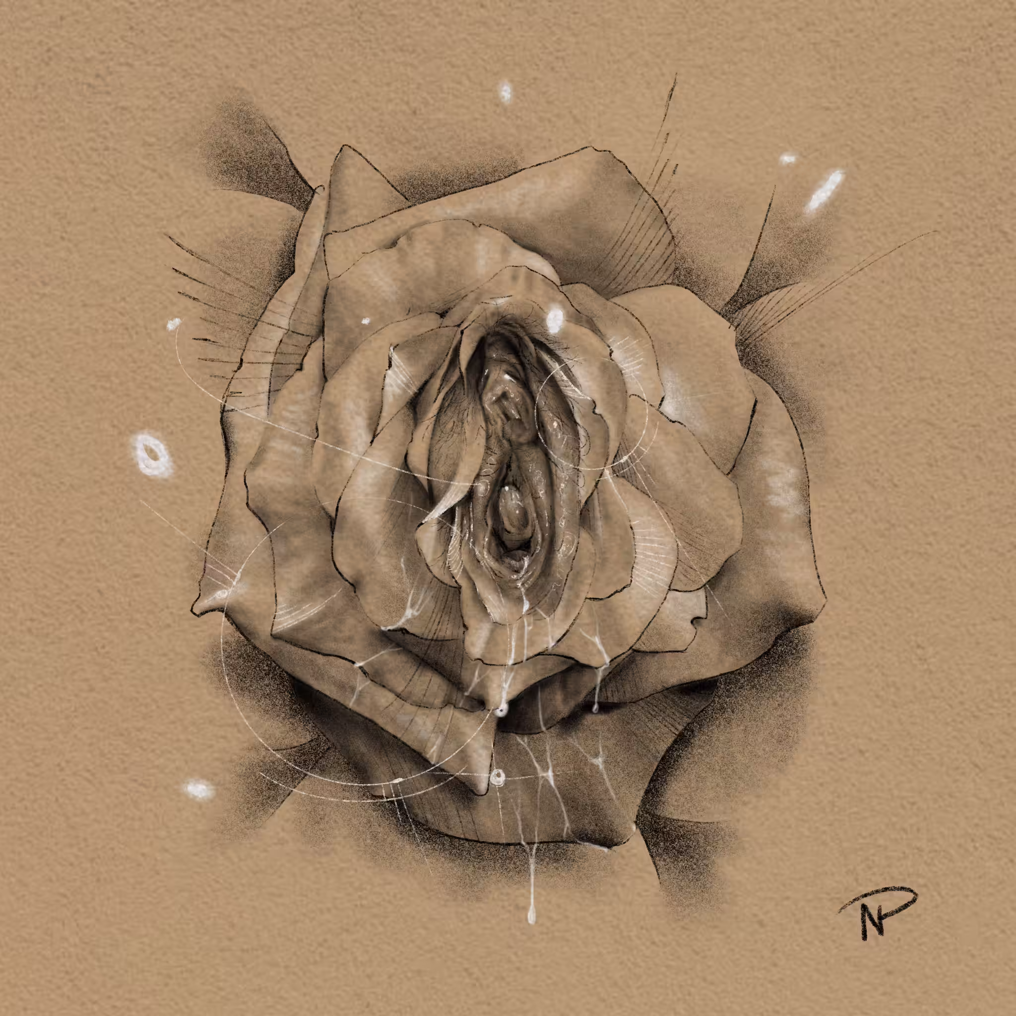 Rose